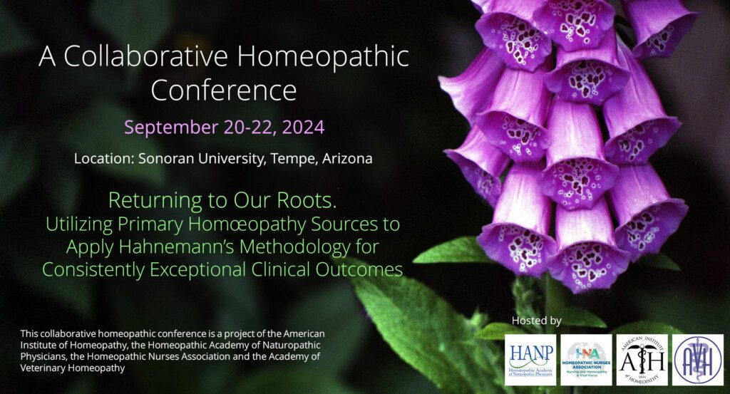 2024 Collaborative Homeopathic Conference American Institute Of   AIH Conference 2024 V3 1024x553 