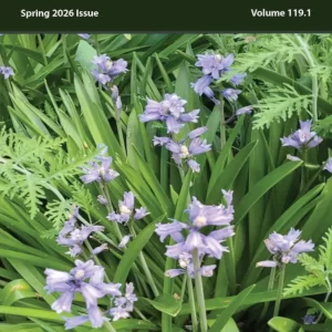 Spring - 2026 e-issue